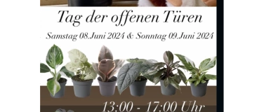 Event-Image for 'Zimmerpflanzenmarkt'
