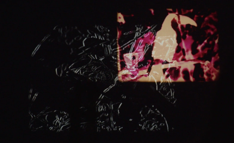 Laurence Favre &amp; Olivier Richard- F(r)ictions / Videoex 2025 Tickets