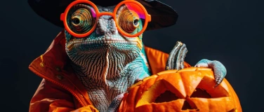 Event-Image for 'Halloween Party'