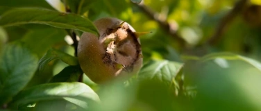 Event-Image for 'Mispeltag'