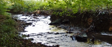 Event-Image for '3-B&auml;che-Wanderung'