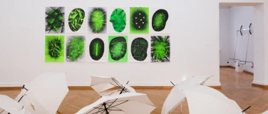 Event-Image for 'Finissage Jahresausstellung & Konzert Strotter Inst.'