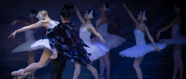 Event-Image for 'Schwanensee - International Festival Ballet & Orchestra'
