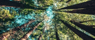 Event-Image for 'Neustart fürs Herz'