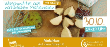 Event-Image for 'Waschmittel aus natürlichen Materialien'