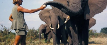 Event-Image for 'Ein Leben unter Elefanten'