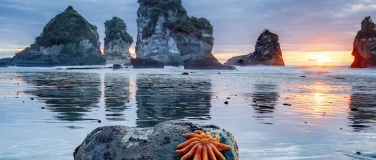 Event-Image for 'Explora präsentiert: Wunderwerk Natur'