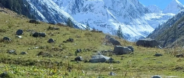 Event-Image for 'UMS'nJIP - eins'