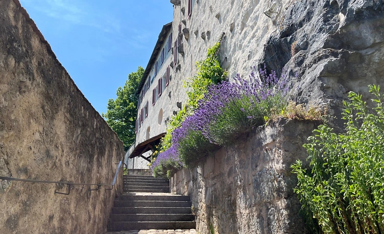 Schlossf&uuml;hrungen Tag der offenen T&uuml;r Tickets