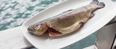 Event-Image for 'Forelle Blau'