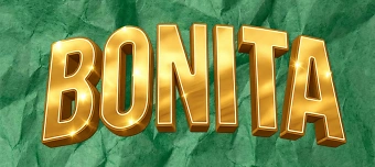 Event organiser of Bonita Event