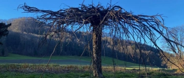 Event-Image for 'Back To The Roots in der lauschigsten Gartengalerie'