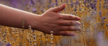 Event-Image for 'Soulful September – Release & Receive'