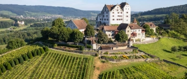 Event-Image for 'Vortrag "Festzeiten!": H&ouml;fische Festkultur und Tafelfreuden'