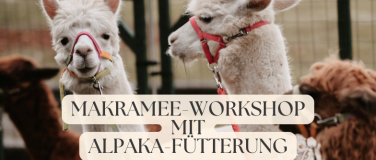 Event-Image for 'Makramee-Workshop mit Alpaka-F&uuml;tterung'