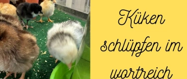 Event-Image for 'AKTIONSWOCHE: K&uuml;ken im wortreich'