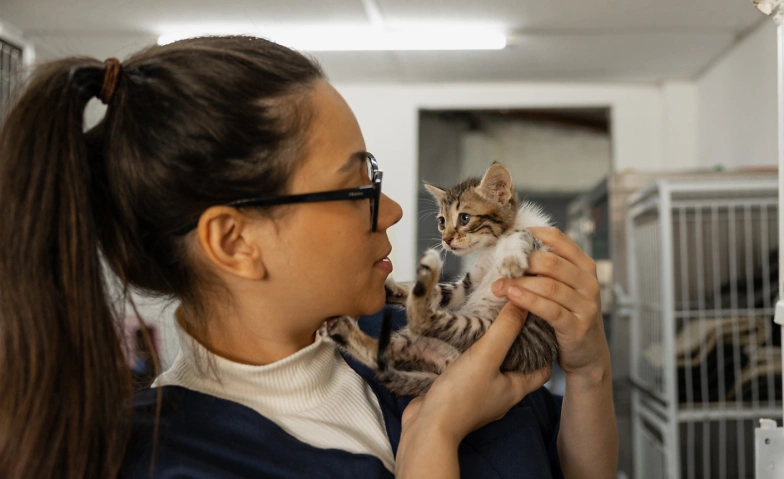 Recruiting im Tierschutzverein Tickets