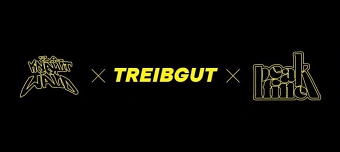 Event organiser of Simulacra - Kollektivbäsh