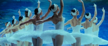 Event-Image for 'Grand Classic Ballet - Schwanensee - Jenseits der B&uuml;hne'