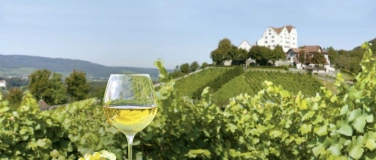 Event-Image for 'Wein-Degustation mit historischen und modernen Sorten'
