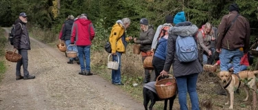 Event-Image for 'Geführte Pilzlehrwanderung mit PSV (DGfM) Philipp Sikorra'