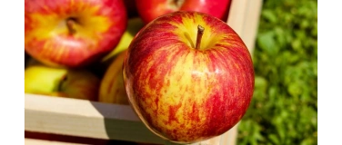 Event-Image for 'Gwunderstunde: Apfelgeschichten - Mosten'