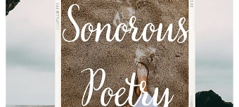 Event organiser of Вечер Стихов Сонорус