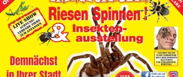 Event-Image for 'Insectophobie Riesen Spinnen & Insekten Ausstellung'