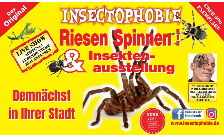Event-Image for 'Insectophobie Riesenspinnen & Insekten'
