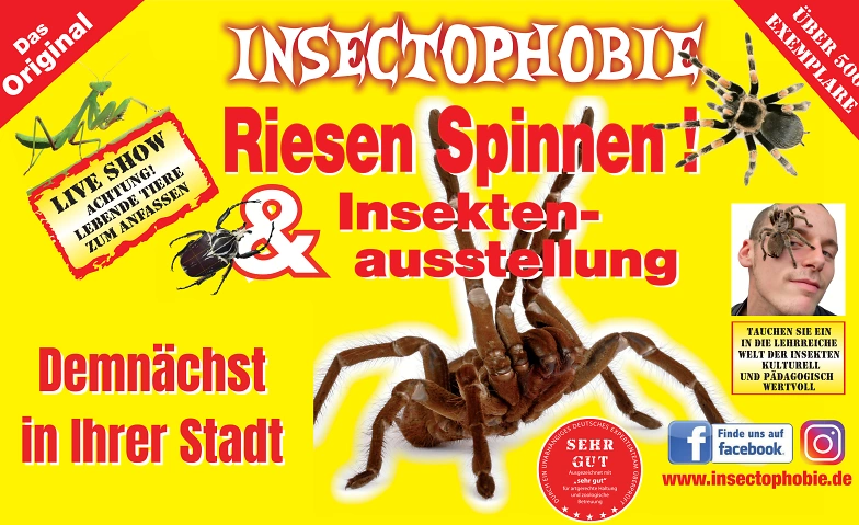 Event-Image for 'Das Original Insectophobie Riesen Spinnen & Insekten'