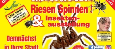 Event-Image for 'Insectophobie Riesenspinnen & Insekten'