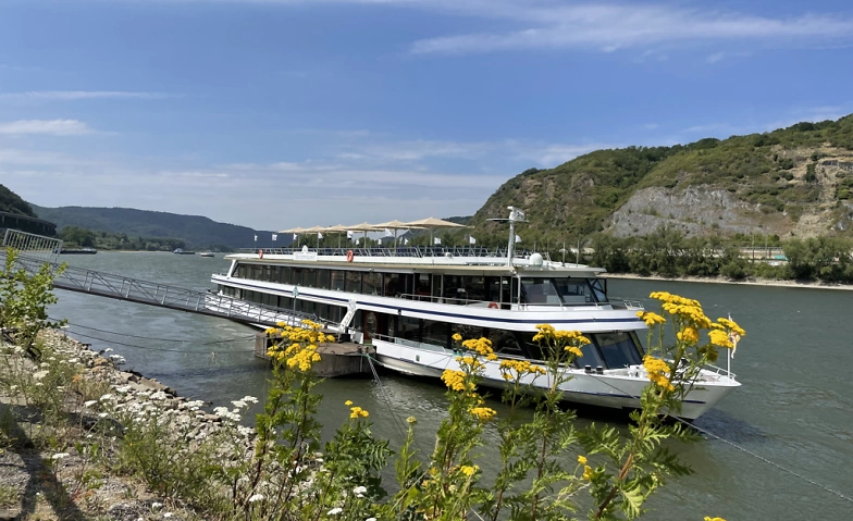Event-Image for 'Schau-mal-Rhein Tageskreuzfahrt nach Andernach'