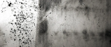 Event-Image for '20 Kreative Fotografie  -  Thomas Wunsch'