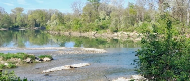 Event-Image for 'Qi Gong - walk in - be welcome'