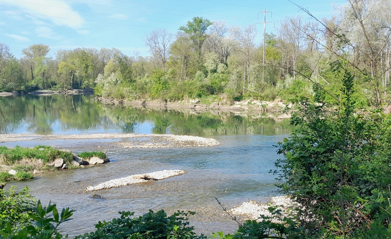 Event-Image for 'Qi Gong - walk in - be welcome'