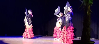 Event organiser of Flamenco & Dinner