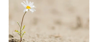Event-Image for '„Einfach da sein“ – Ehrenamtliche Begleitung am Lebensende'