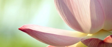 Event-Image for 'MBSR-8-Wochen-Kurs'