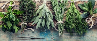 Event-Image for 'Antientz&uuml;ndliche Ern&auml;hrung'