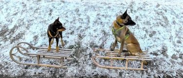 Event-Image for 'Ein kleines AdventsAbenteuer mit Hund'
