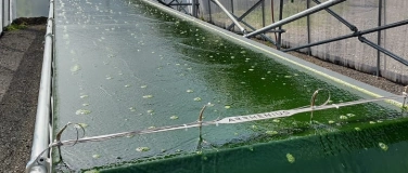 Event-Image for 'CO2-Countdown: L&ouml;sungen f&uuml;r morgen!'