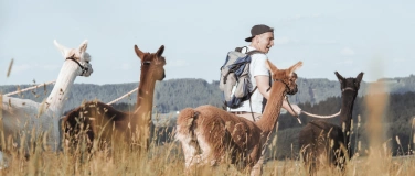 Event-Image for 'Alpakawanderung zum Unterallgäuer Wanderherbst'