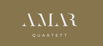 Organisateur de Mehr als Film. Mehr als Konzert - Stummfilmauff&uuml;hrung