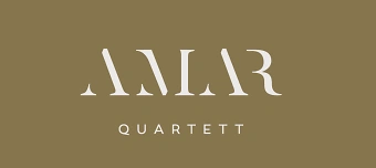 Organisateur de Mehr als Film. Mehr als Konzert - Stummfilmauff&uuml;hrung