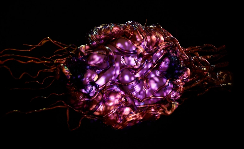 Event-Image for 'Justin Talplacido Shoulder ANITO'