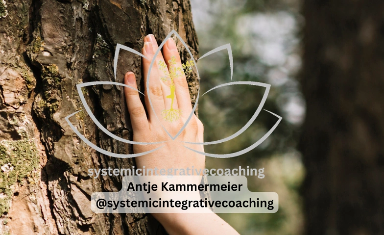 Event-Image for 'Somatische Stressregulation & Waldbaden'