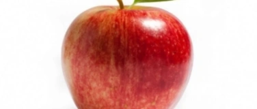 Event-Image for 'Kimchi Gem&uuml;se einmachen'