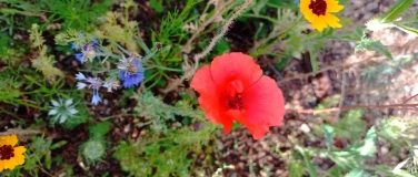 Event-Image for 'Achtsamer Spaziergang mit Kommunikationspbungen'