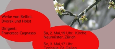 Event-Image for 'Jahreskonzert des HSG Alumni Symphony Orchestra'