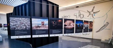 Event-Image for 'Orangs-outans arrivent en Suisse romande: MOVING PICTURES'